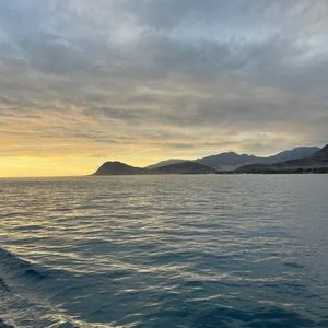 Meet your Posher, Haeley